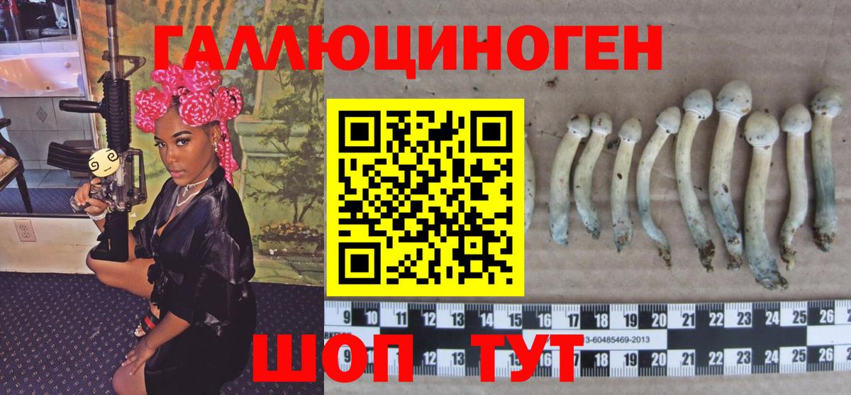 Псилоцибиновые грибы GOLDEN TEACHER  Вход с VPN  Саров 