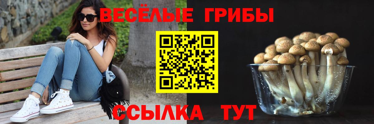 Галлюциногенные грибы Magic Shrooms Саров